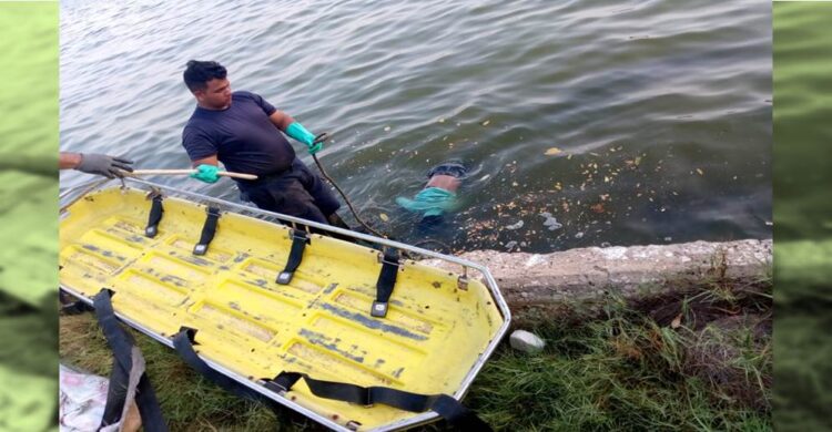 Un Nuevo Cad Ver Fue Hallado En El Lago Hombre De Rasgos Ind Genas