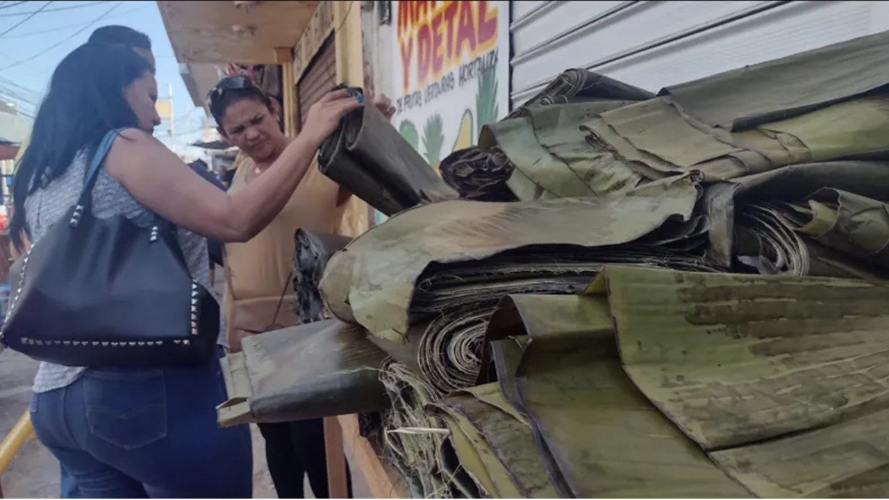 ¡ENTRE 14 Y 15 BOLÍVARES! Se venden las hojas de plátano para las