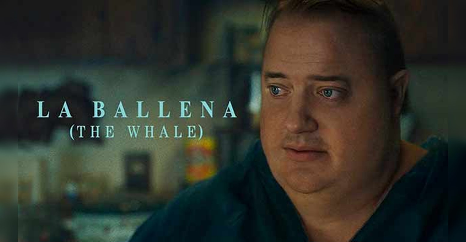 ¡cine En Nam Analicemos La Pelicula The Whale La Ballena Noticia Al Minuto 1773