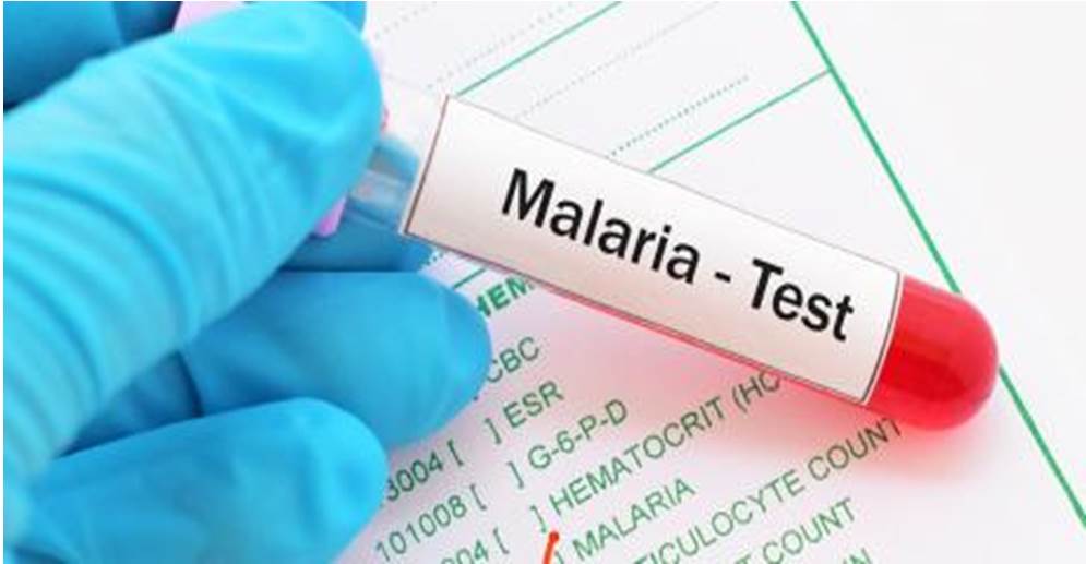 ¡LLAMA A INTENSIFICAR LOS ESFUERZOS! La OMS para lograr la eliminación de la malaria
