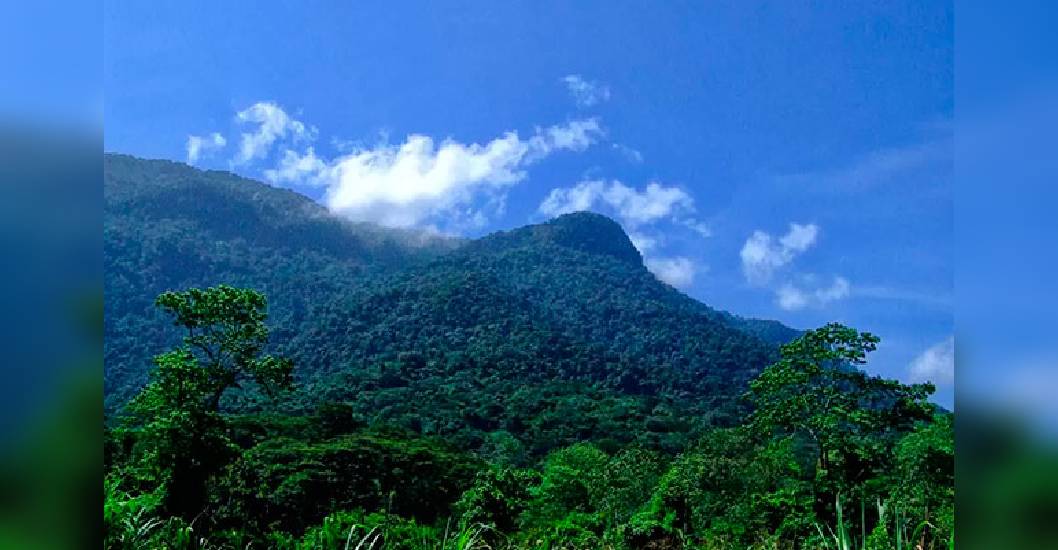 ¡CONTEMPLACIÓN MÍSTICA! Yaracuy tierra de fértil vegetación en el seno del Monumento Natural María Lionza