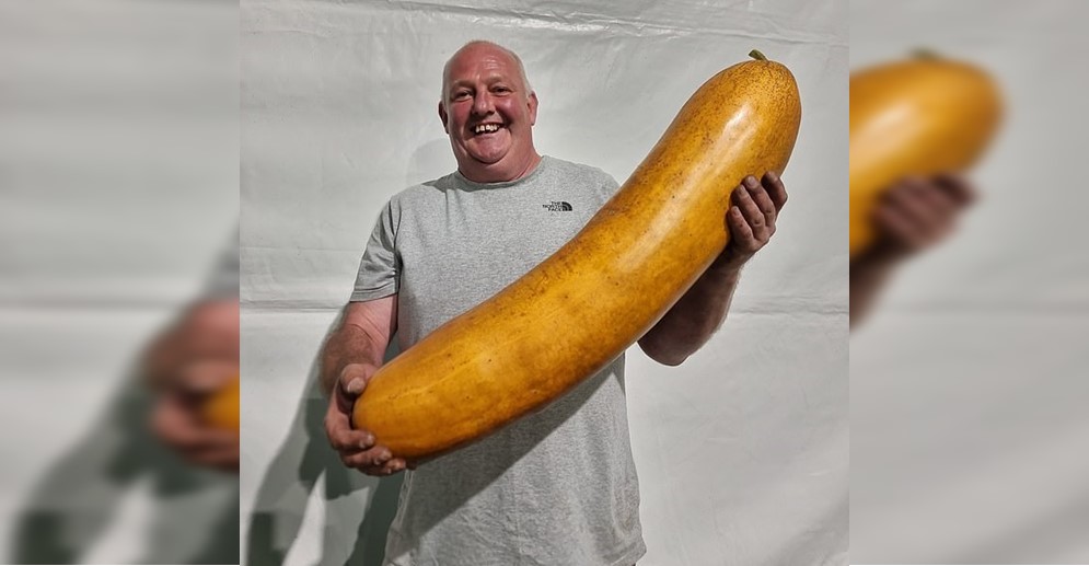 ¡FÓRMULA SECRETA! El pepino más grande del mundo se cosechó al sur de Gales