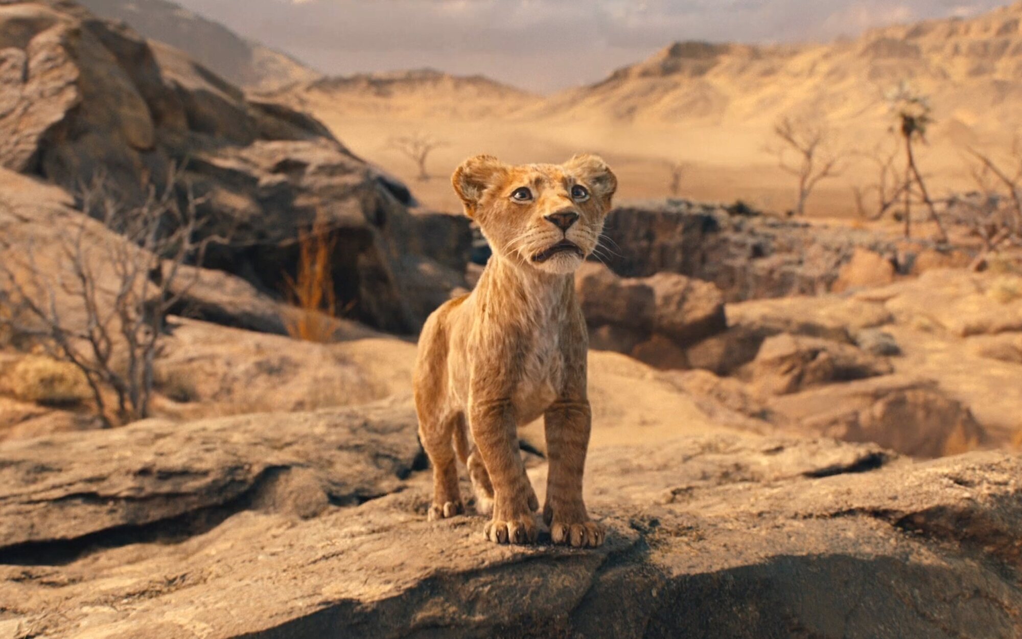 ¡NUEVA ENTREGA! Disney reveló el tráiler de “Mufasa: El Rey León” (Video)