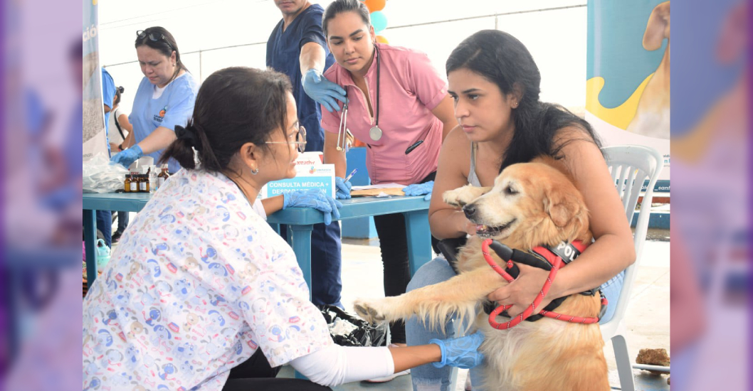 ¡MÁS DE 300 PERROS Y GATOS REVISADOS! Alcaldía de San Francisco realizó jornada veterinaria de atención primaria para mascotas