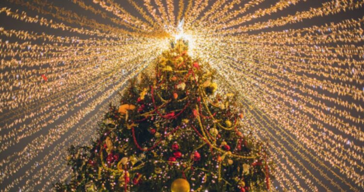 Los regalos se colocan debajo del árbol de Navidad durante el 24 de diciembre