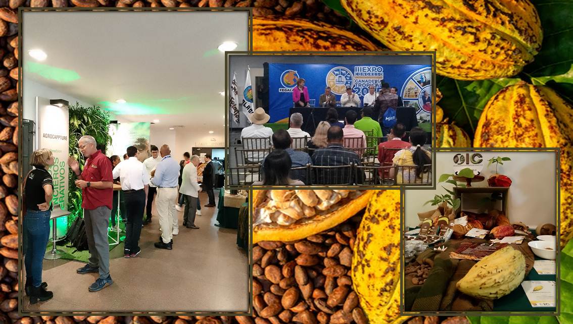 ¡FORMALIZAN DOCUMENTO DE CONCRECIÓN! Tras exitoso simposio de Cacao y Chocolate para impulsar el rubro como producto de agroexportación || Fotos+Video