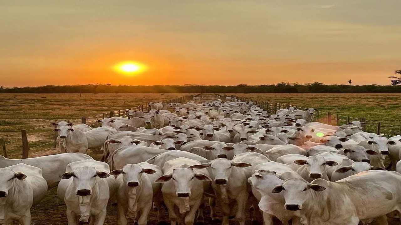 ¡»ESO DEBE DE CAMBIAR»! Presidente de Fedenaga José Labrador advierte sobre complicaciones con el combustible en el campo venezolano