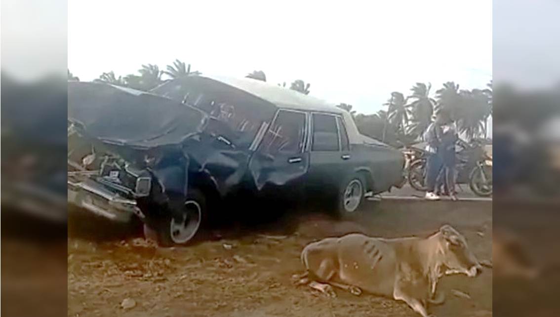 ¡TRES HERIDOS, UN NIÑO ENTRE ELLOS! Caprice con seis personas a bordo se estrella contra un rebaño que sale ‘de golpe’ desde la maleza || Troncal Caribe, vía La Raya