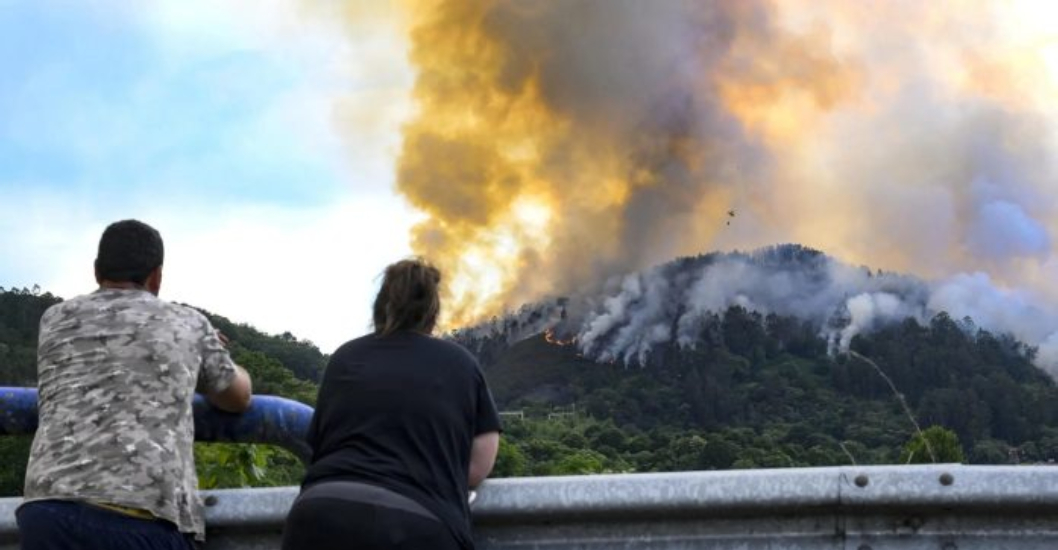 ¡VARIAS ÁREAS EN EMERGENCIAS! Incendios forestales en España arrasan cientos de hectáreas y provocan evacuaciones