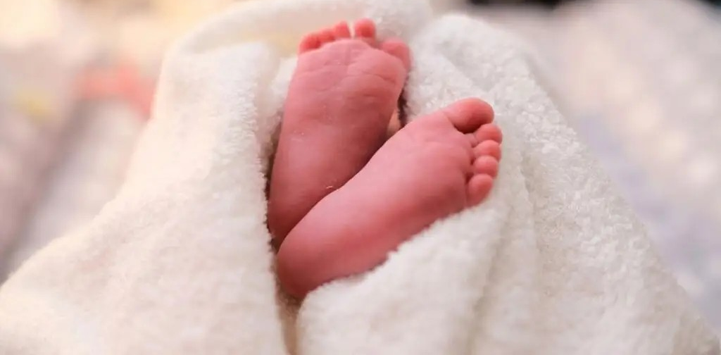 ¡DEJARON QUE SU HIJA MURIERA DE HAMBRE! Una pareja es sentenciada por crueles maltratos contra bebé de tres meses