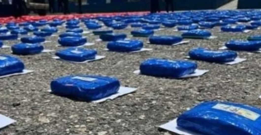 ¡OCULTOS EN DOS CAMIONETAS! Autoridades incautan más de 1.600 kilos de marihuana en Lara
