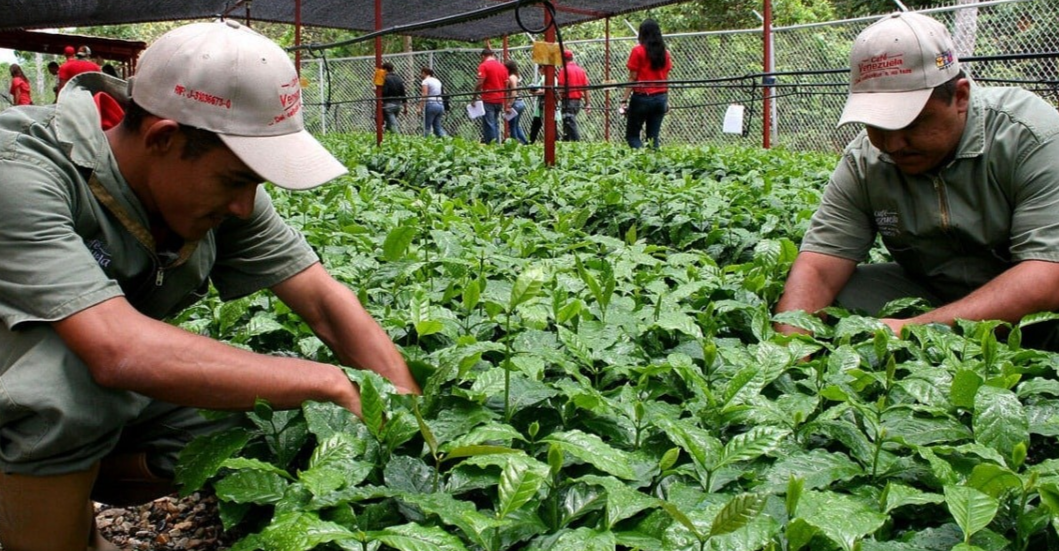 ¡GARANTÍA DEL SISTEMA DE ABASTECIMIENTO! Ejecutivo instala primer Consejo de Seguimiento Agroproductivo