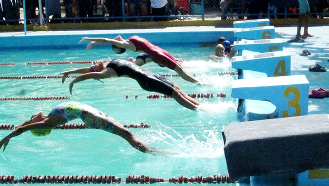 ¡ZULIA ‘DEFIENDE EL PATIO’ CON DETERMINACIÓN! En Cotorrera se vive intensamente el Campeonato Estatal de Natación 2026 || Fotos