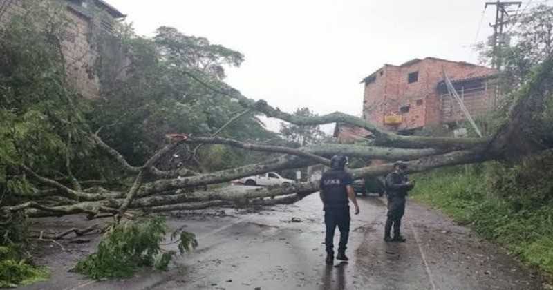 ¡VIVIENDAS SEVERAMENTE AFECTADAS! Vientos huracanados causan destrozos en varios municipios de Táchira