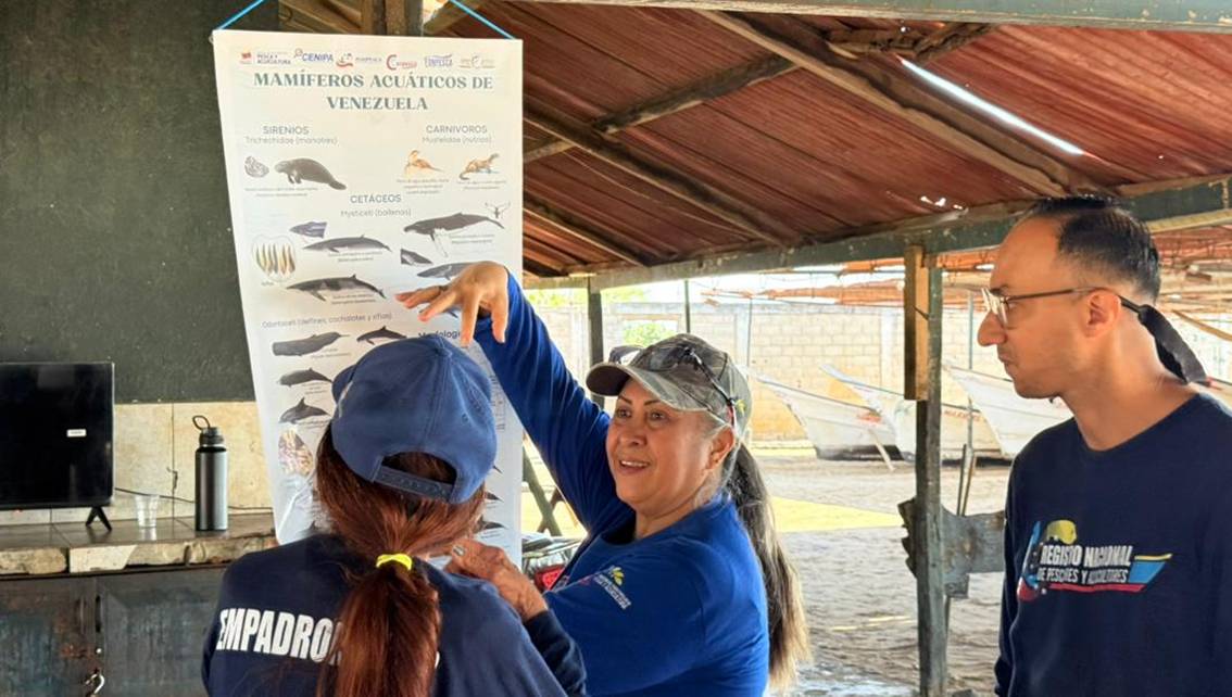 ¡SOBRE AVISTAMIENTO DE MAMÍFEROS MARINOS! Reciben capacitación pescadores zulianos