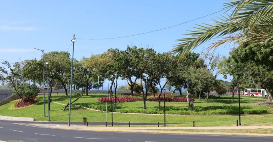 ¡GESTIÓN DE GOBIERNO! Delcy Rodríguez supervisa avances del proceso de recuperación e infraestructura en La Guaira