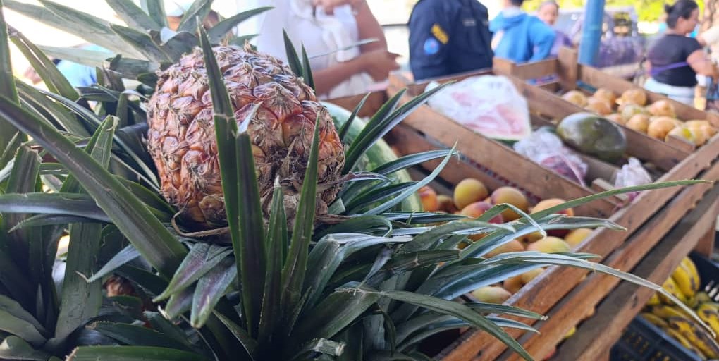 ¡DESPLIEGUE DE LA GOBERNACIÓN DEL ZULIA! Beneficiadas 5.000 familias en jornadas de Campo Soberano y Bodega Móvil