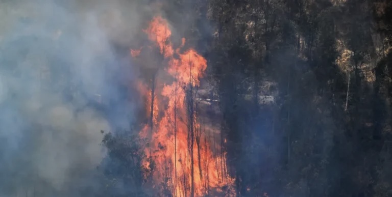 ¡BATALLA CONTRA LAS LLAMAS! Incendios forestales permanecen activos en Ecuador acentuados por condiciones climáticas adversas