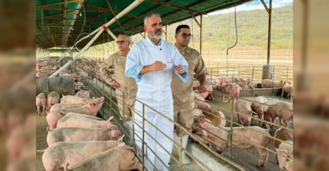 ¡ASEGURADO EL PLATO NAVIDEÑO! Padrino: El país está autoabastecido de carne de cerdo y el sector porcino podría crecer 15,3% este año