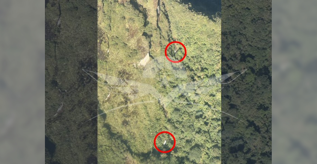 ¡ZONA MONTAÑOSA DE DIFÍCIL ACCESO! Ubican la avioneta desaparecida en Colombia este domingo con cinco personas a bordo