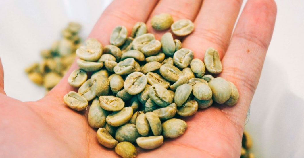 ¡CRECIMIENTO HISTÓRICO EN EL CAMPO! Venezuela entra al Top 11 mundial en la producción de café verde
