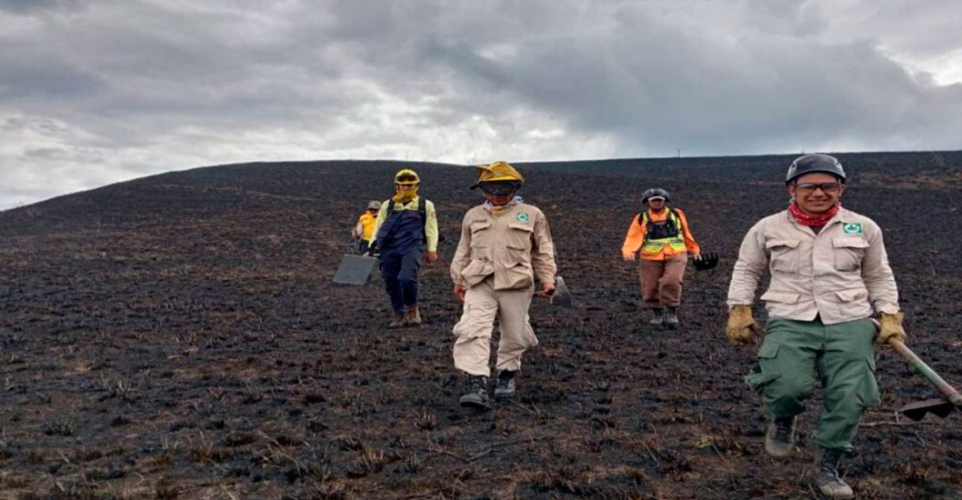 ¡CULTIVOS DE CAFÉ Y CACAO AFECTADOS! Incendio forestal en Mérida perjudica a más de 160 hectáreas
