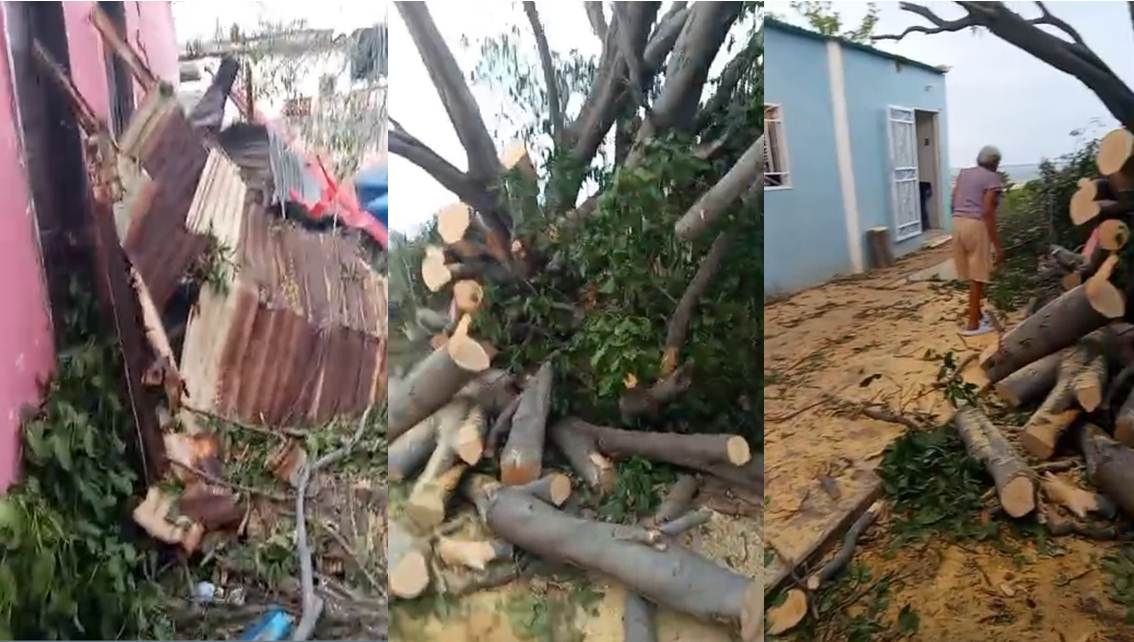 ¡ATENCIÓN AUTORIDADES, SON ADULTOS MAYORES! Exigen corte y saque de árbol derribado por ventisca sobre una casa en el último aguacero de Maracaibo || Video