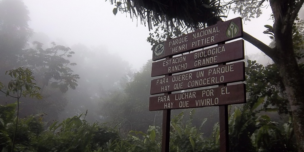 ¡SANOS Y SALVOS! Rescatan con vida a dos jóvenes extraviados en el Parque Nacional Henri Pittier