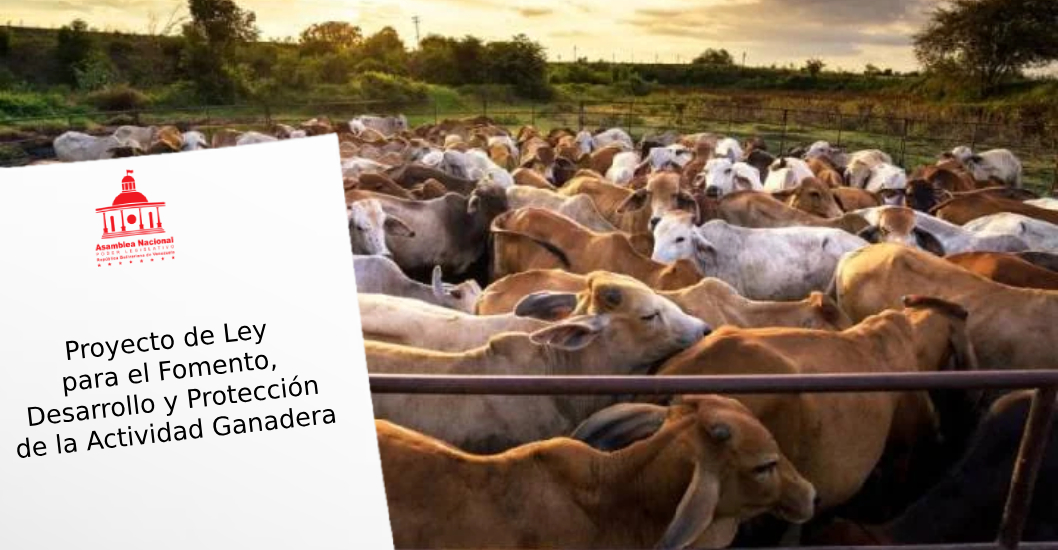 ¡COMISIÓN ESTARÁ EN SEIS ESTADOS! Consulta de ley ganadera se extiende por los próximos tres fines de semana