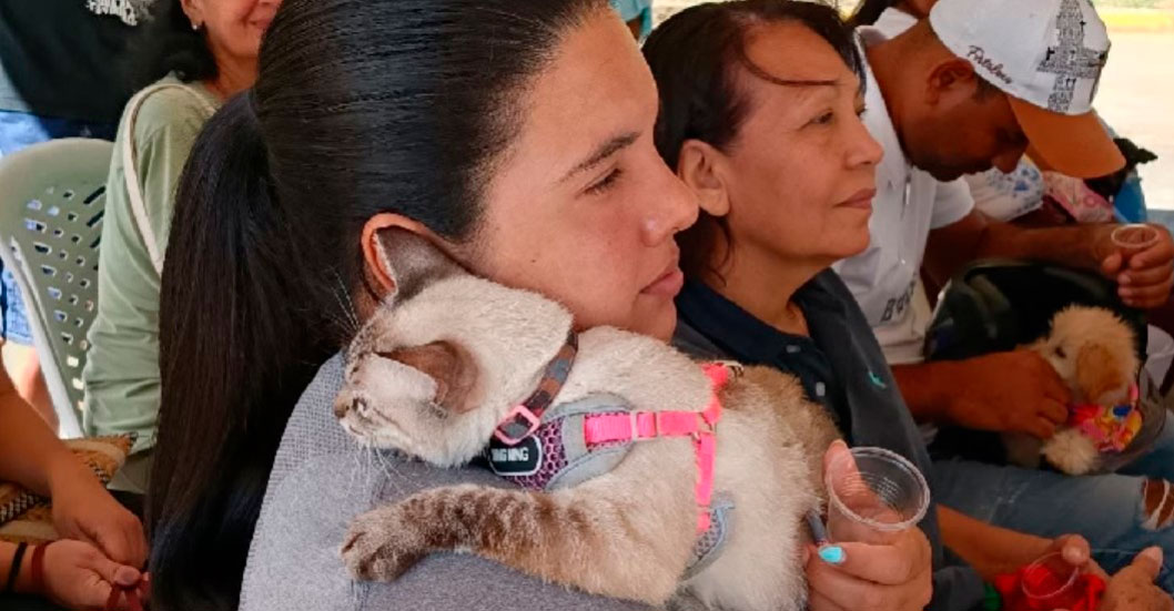 ¡HERRAMIENTA LEGAL CONTRA EL MALTRATO! Aprueban Ordenanza para el Bienestar de los Animales de Compañía