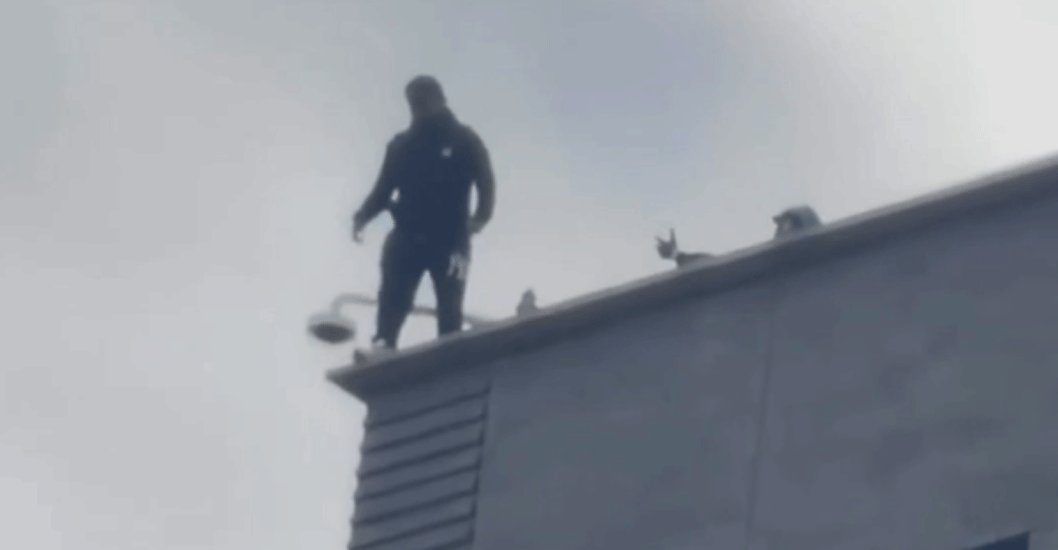 ¡TRAGEDIA Y DRAMA EN NUEVA YORK! Asesina a su novia a puñaladas y se lanza del techo de un edificio de 7 pisos